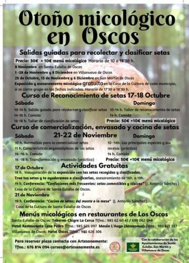 DISFRUTA DE UN OTOÑO MICOLOGICO CON ARTESANAMENTE
