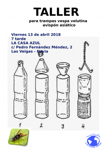 taller contra la vespa velutina