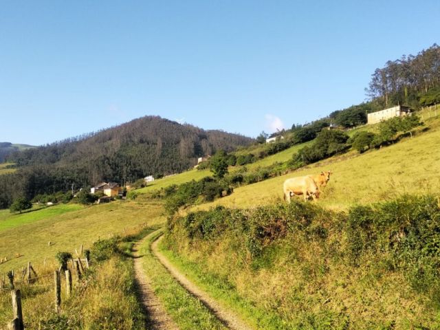 Itinerario Caminando por a Vida.