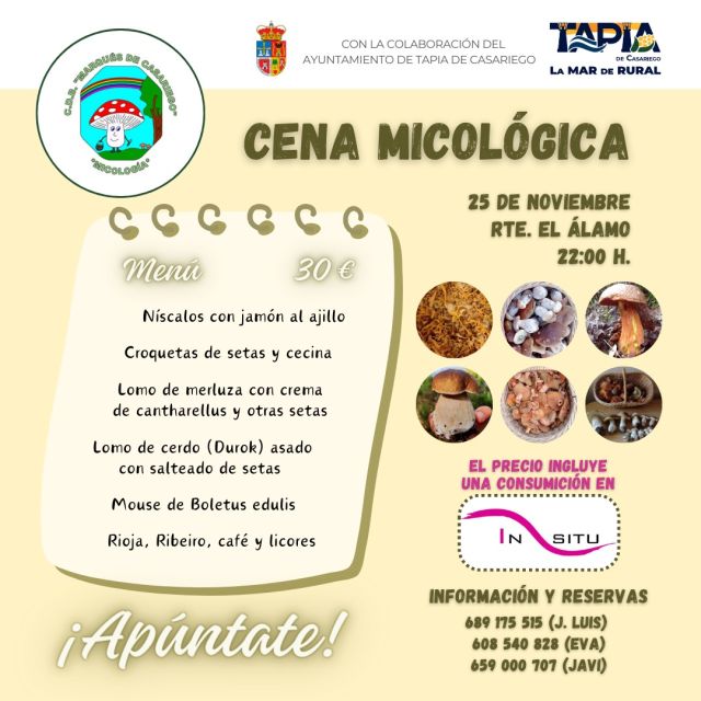 Cena micológica/alternativa