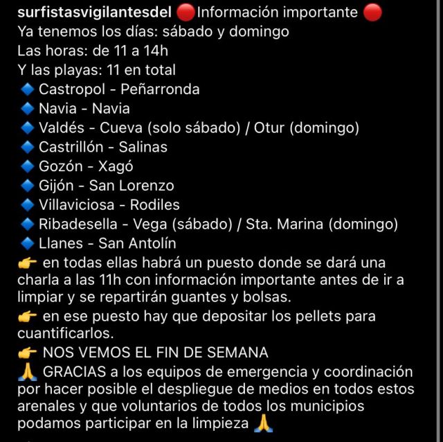 Regogida de Pelets organizada por Surfistas Vigilantes del Mar