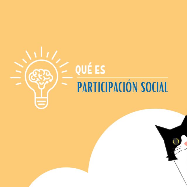 ¿PARTICIPACIÓN SOCIAL?