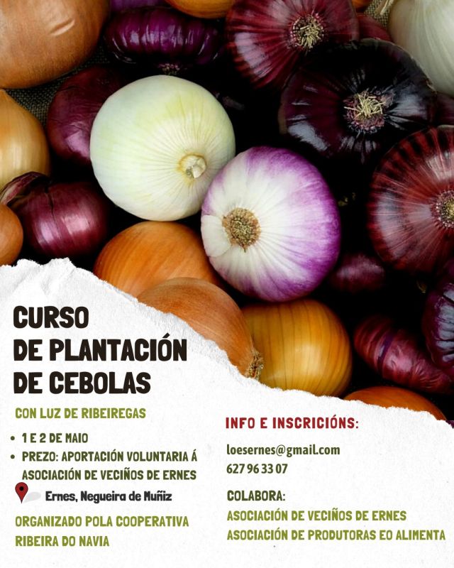 Curso de Plantación de Cebollas